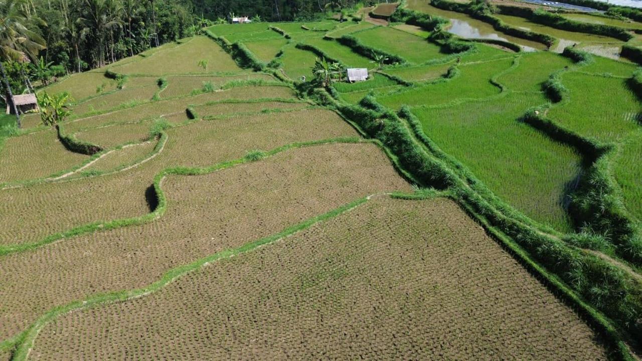Banana Bungalows Tetebatu Eksteriør bilde
