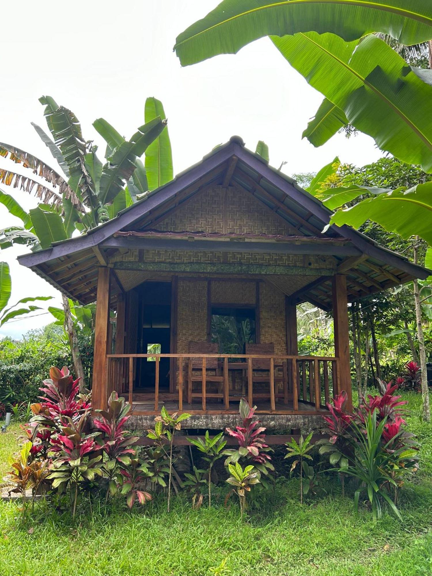 Banana Bungalows Tetebatu Rom bilde