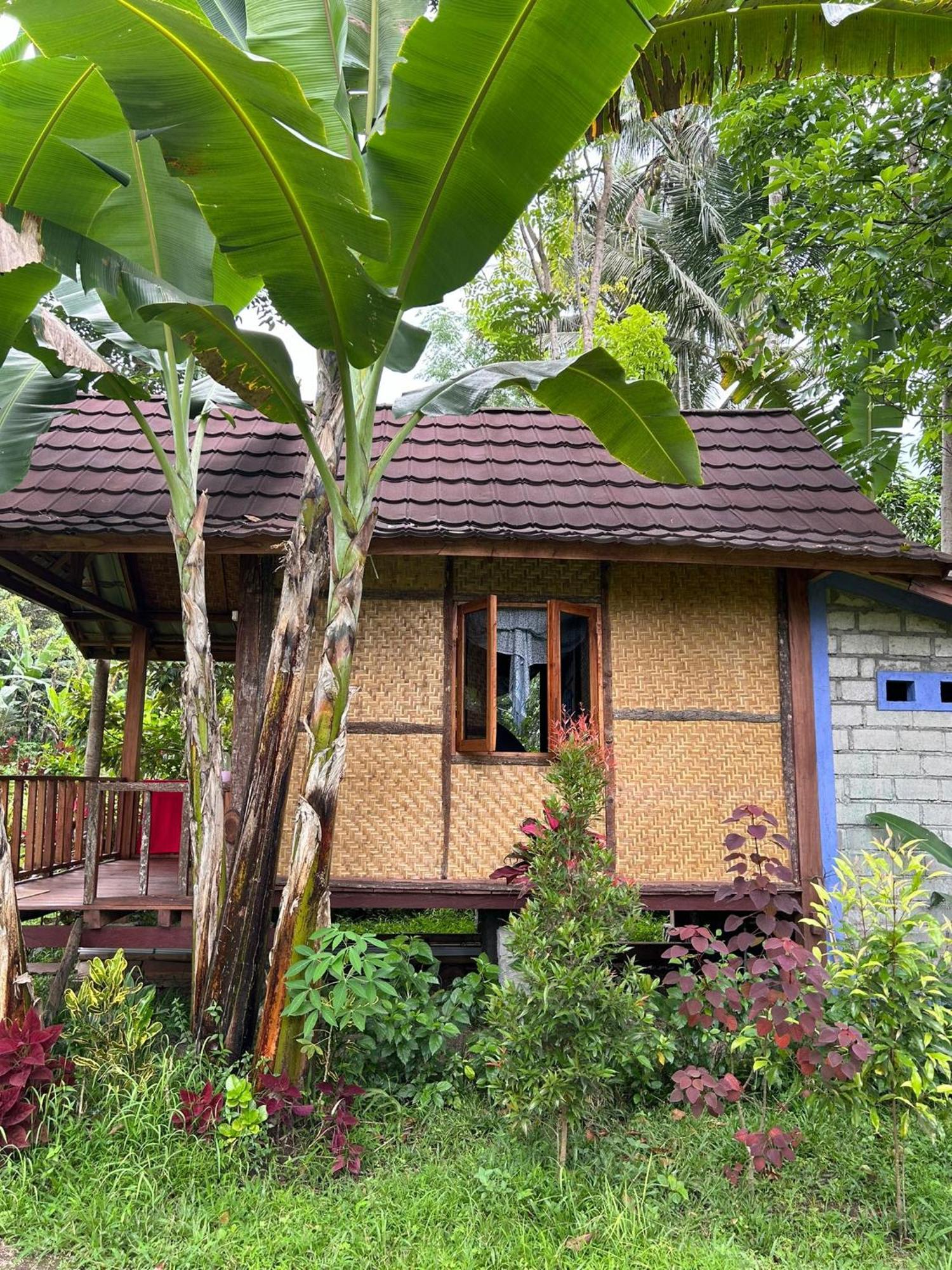 Banana Bungalows Tetebatu Rom bilde