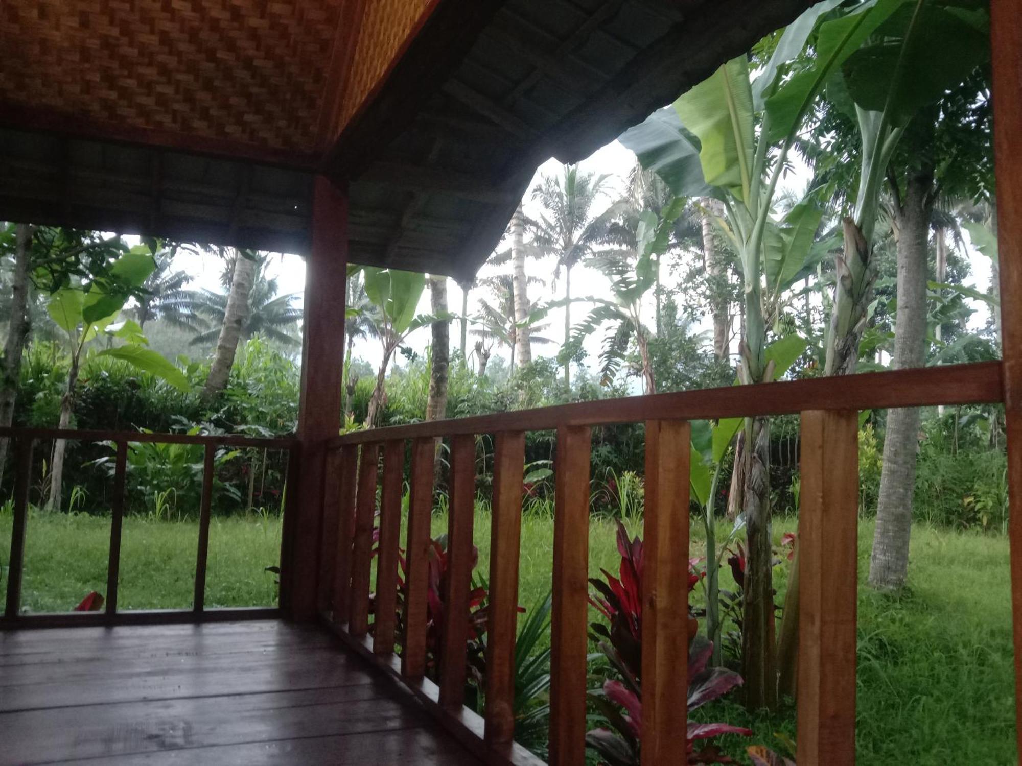 Banana Bungalows Tetebatu Rom bilde